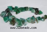 CAG8545 Top drilled 15*20mm - 25*30mm freeform dragon veins agate beads