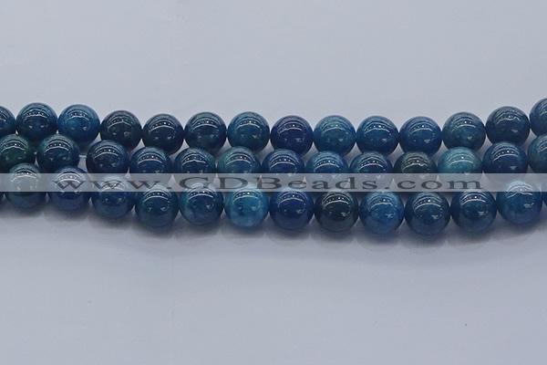 CAP364 15.5 inches 12mm round apatite gemstone beads wholesale
