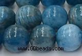 CAP632 15.5 inches 10mm round apatite beads wholesale