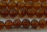CAR526 15.5 inches 5mm - 6mm round natural amber beads wholesale