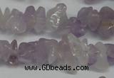 CCH222 34 inches 5*8mm lavender amethyst chips gemstone beads wholesale