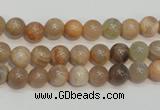 CCS302 15.5 inches 6mm round natural sunstone beads wholesale