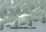 CCT860 15 inches 10mm star cats eye beads wholesale