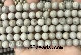 CFC331 15.5 inches 8mm round fossil coral beads wholesale