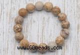 CGB5373 10mm, 12mm round picture jasper beads stretchy bracelets