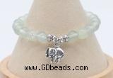 CGB7902 8mm prehnite bead with luckly charm bracelets wholesale