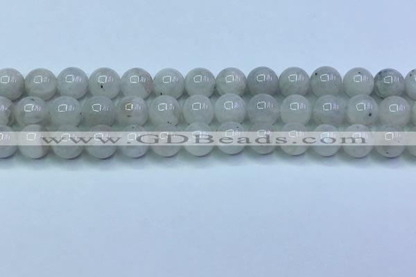 CMS1491 15.5 inches 8mm round white moonstone beads wholesale
