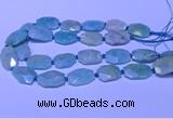 CNG7625 20*30mm - 22*32mm faceted freeform amazonite beads