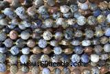 COIN173 15 inches 6mm faceted coin dumortierite gemstone beads
