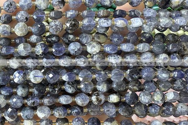 COIN205 15 inches 6mm faceted coin iolite gemstone beads