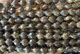 COIN208 15 inches 6mm faceted coin bronzite gemstone beads