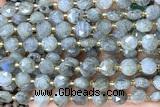 COIN232 15 inches 8mm faceted coin labradorite gemstone beads