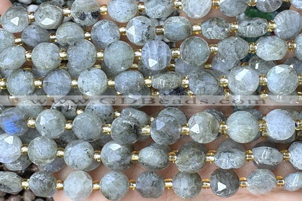 COIN232 15 inches 8mm faceted coin labradorite gemstone beads
