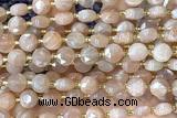 COIN238 15 inches 8mm faceted coin moonstone gemstone beads
