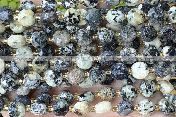 COIN246 15 inches 8mm faceted coin jasper gemstone beads