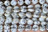 COIN276 15 inches 10mm faceted coin sesame jasper beads