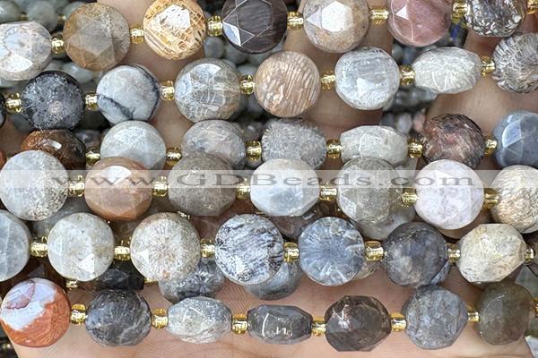 COIN277 15 inches 10mm faceted coin chrysanthemum agate beads