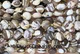 COIN278 15 inches 10mm faceted coin zebra jasper beads