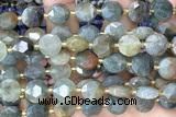 COIN284 15 inches 10mm faceted coin jasper gemstone beads