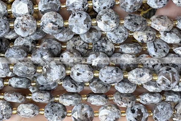 COIN290 15 inches 10mm faceted coin jasper gemstone beads