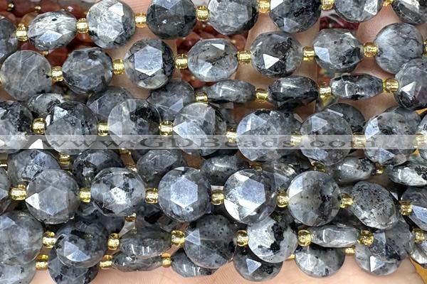 COIN315 15 inches 10mm faceted coin black labradorite beads