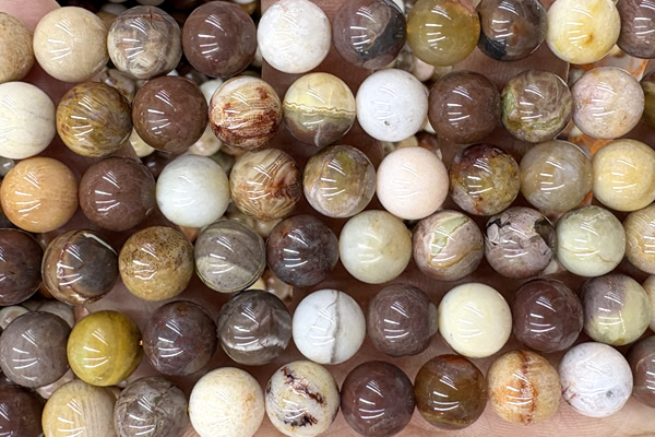 CORA03 15 inches 10mm round fossil coral beads wholesale