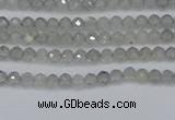 CRB1936 15.5 inches 2*3mm faceted rondelle labradorite beads