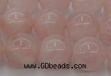 CRQ673 15.5 inches 12mm round rose quartz beads wholesale
