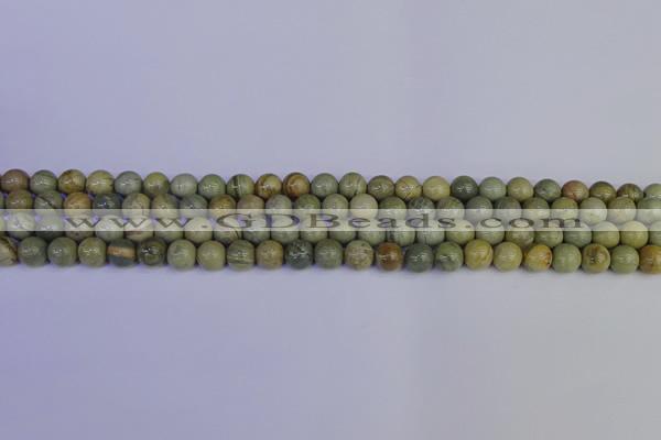 CSL200 15.5 inches 4mm round silver leaf jasper beads wholesale