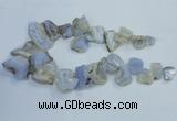 CTD1555 Top drilled 18*25mm - 30*45mm freeform blue lace agate slab beads