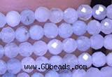 CTG1043 15.5 inches 2mm faceted round tiny aquamarine beads