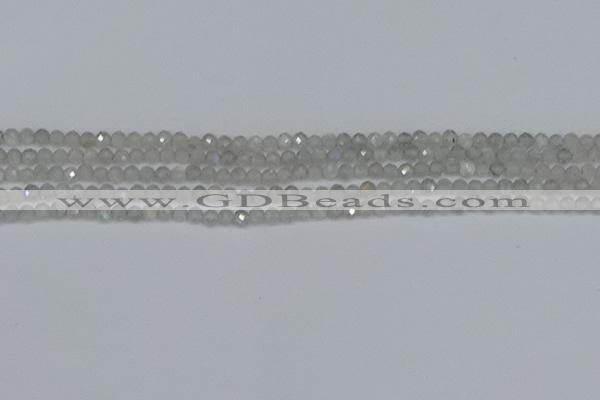 CTG613 15.5 inches 3mm faceted round labradorite beads