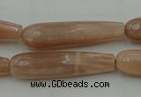 CTR44 15.5 inches 10*40mm faceted teardrop moonstone beads