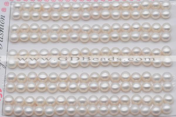 FWP454 half-drilled 5-5.5mm bread freshwater pearl beads