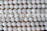 MOON27 15 inches 10mm faceted round natural white moonstone beads