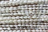 PEAR09 14 inches 3mm – 4mm white freshwater pearl beads