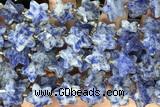 STAR56 15 inches 14mm faceted star sodalite gemstone beads